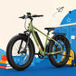 BQi Fat Tire 300 Off-Road Ebike (Step-over) Speed 25km/h | Range 83km