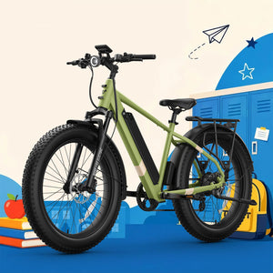 BQi Fat Tire 300 Off-Road Ebike (Step-over) Speed 25km/h | Range 83km