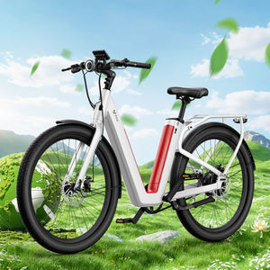 NIU BQi-C3 Pro Ebike Speed 25km/h | Range 150km