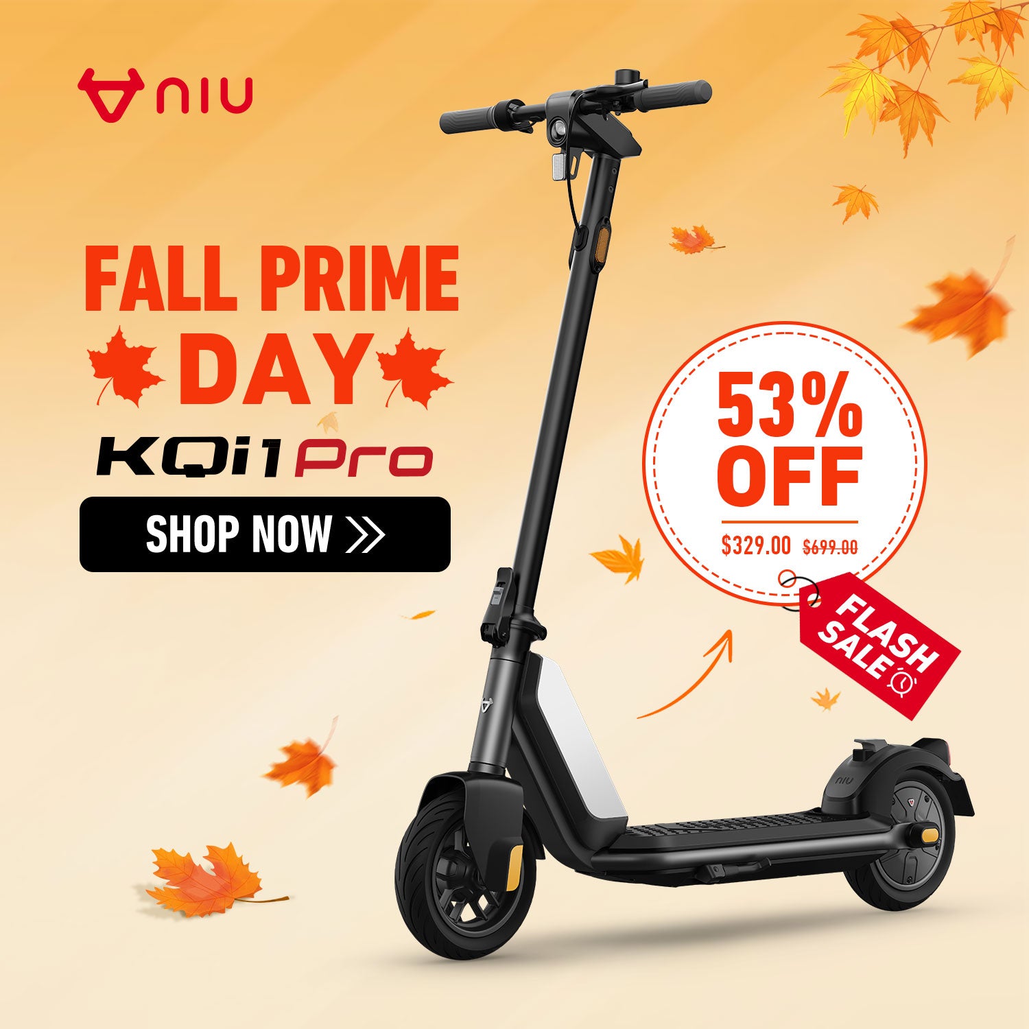 NIU KQi1 Pro Electric Kick Scooter 25km/h | Range 25km