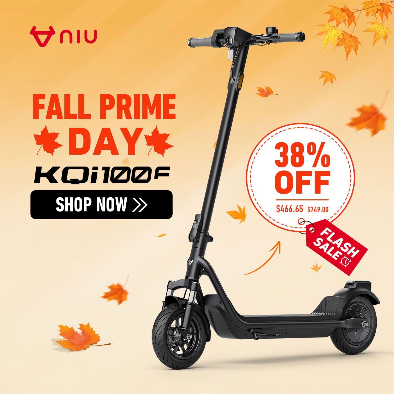 NIU KQi 100F Electric Scooter 28km/h | Range 29km