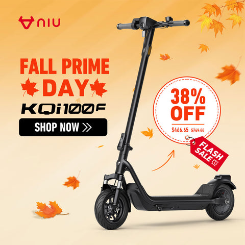 NIU KQi 100F Electric Scooter 28km/h | Range 29km