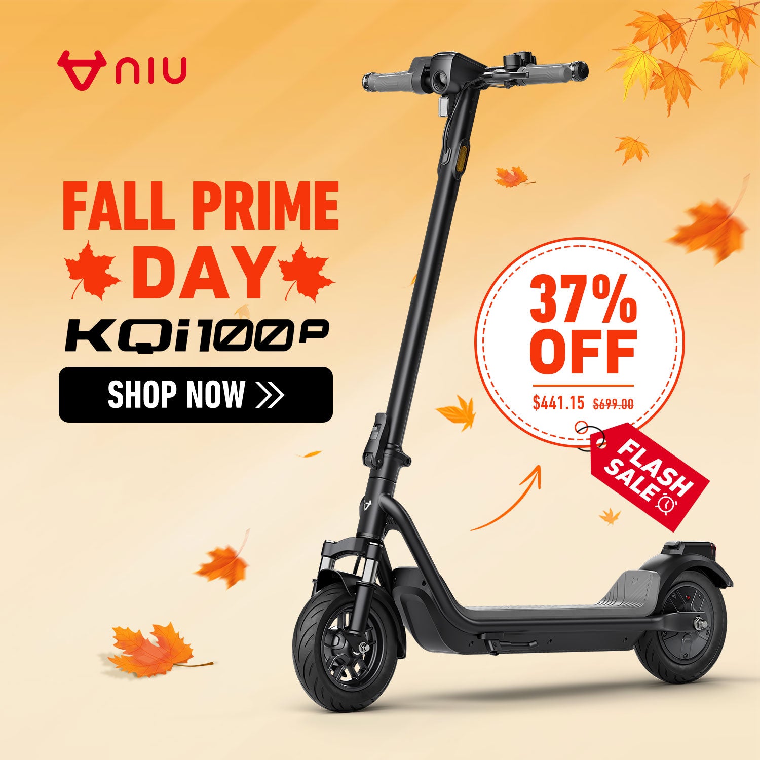 NIU KQi 100P Electric Scooter 28km/h | Range 29km