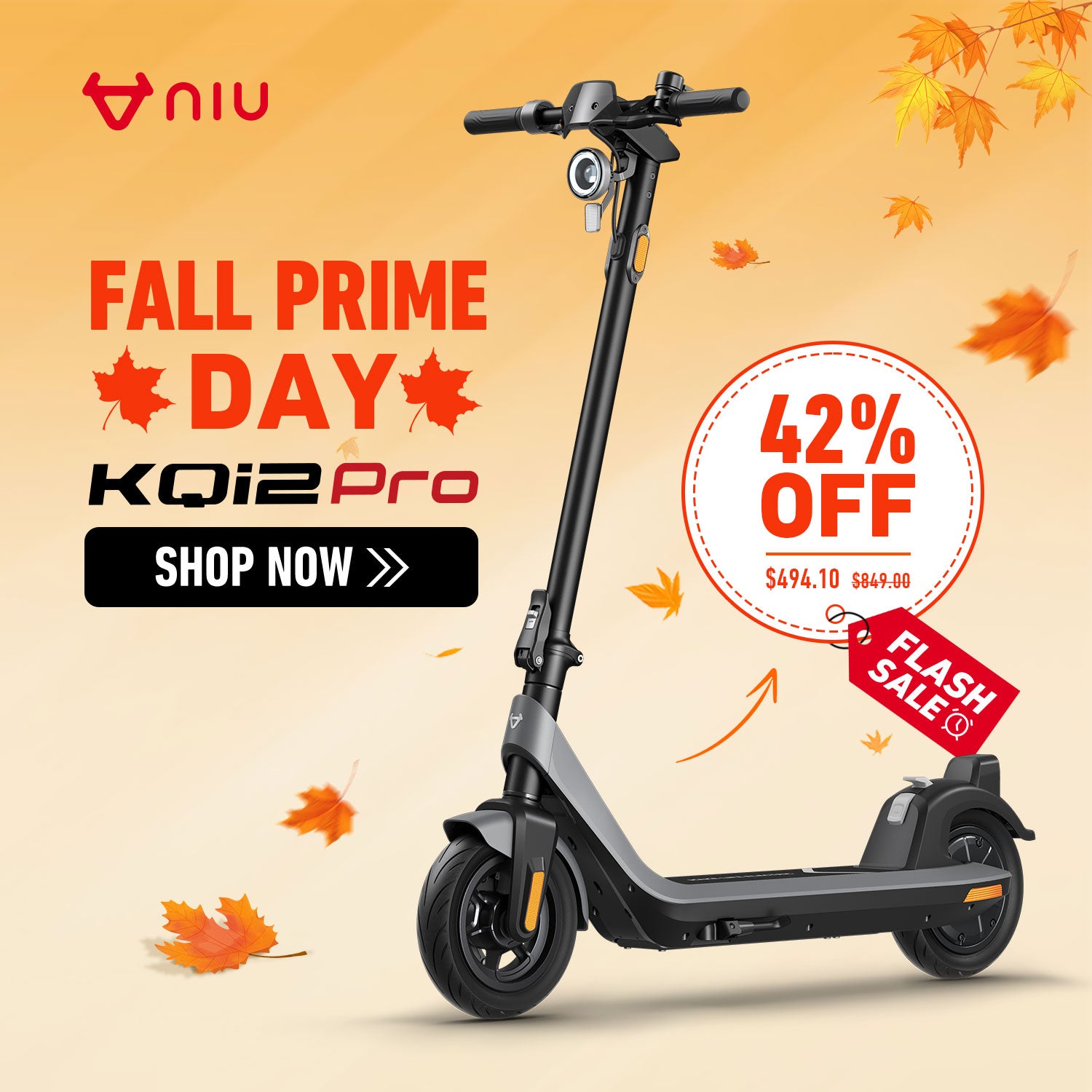 The Most affordable Pro-level scooter