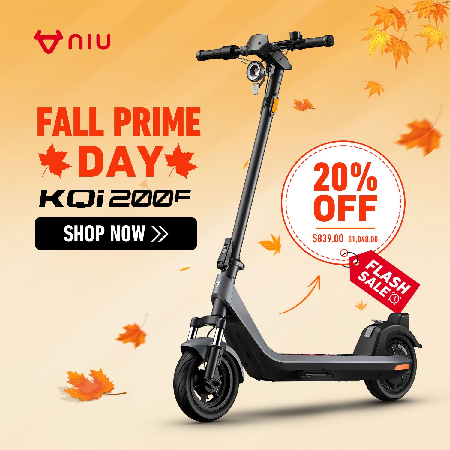 NIU KQi 200F Electric Scooter with Suspension 32km/h | Range 54km