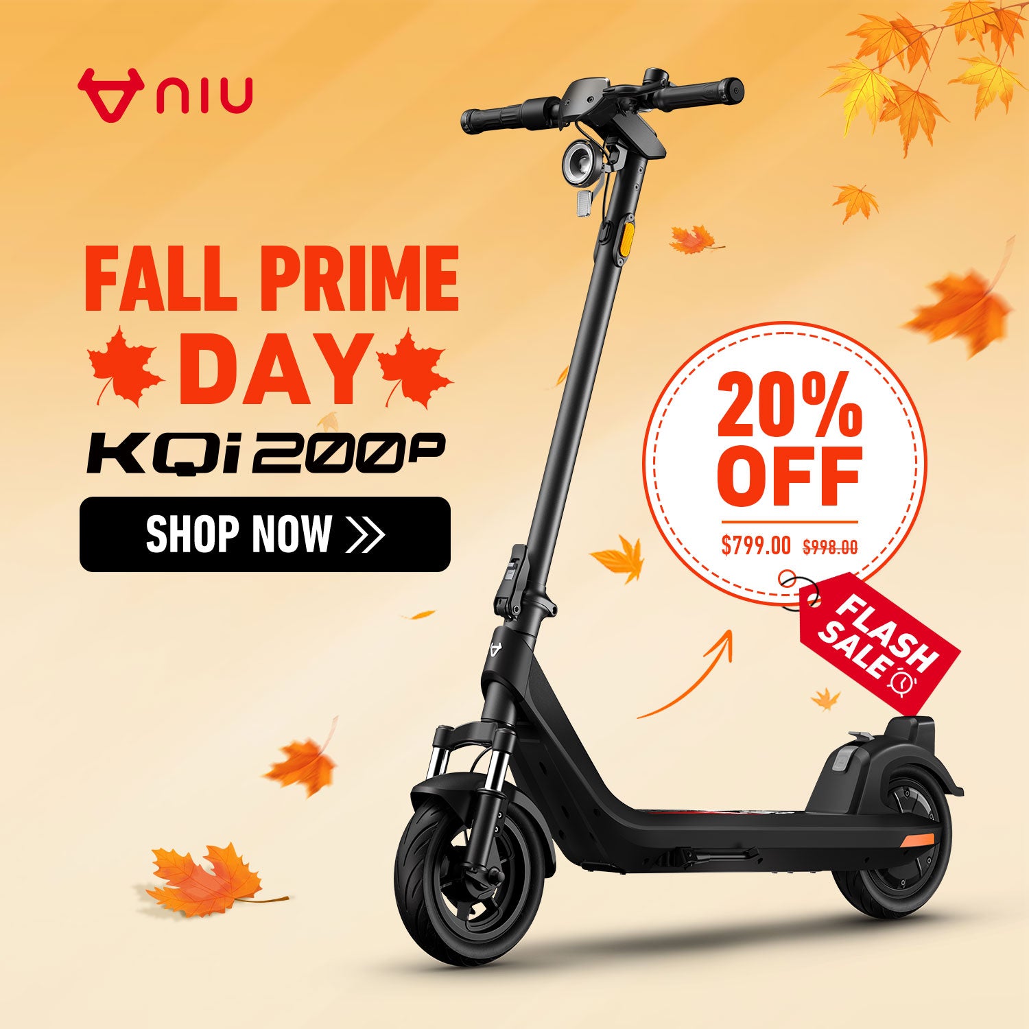NIU KQi 200P Electric Scooter with Suspension 32km/h | Range 54km