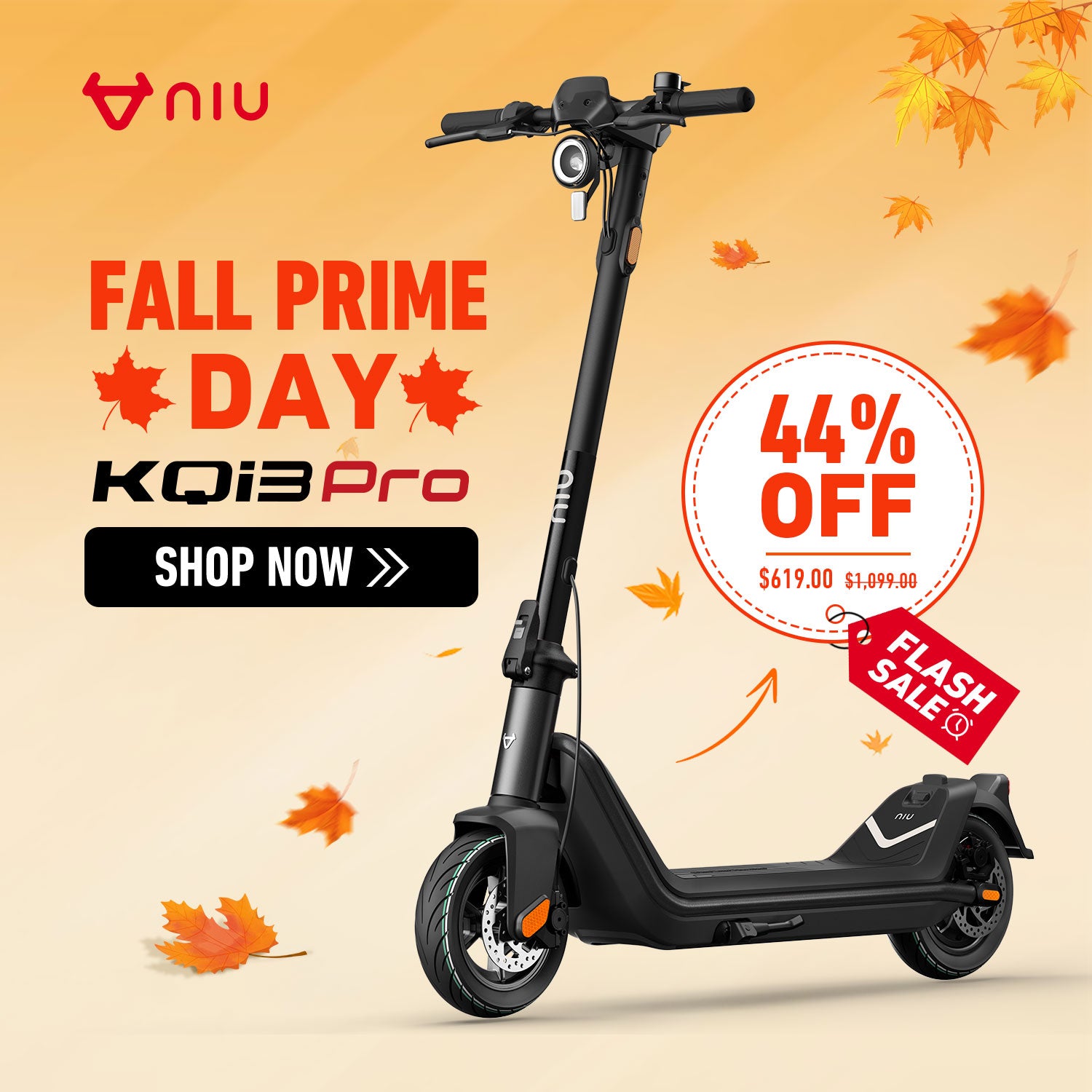 NIU KQi3 Pro Electric Kick Scooter 32km/h | Range 50km