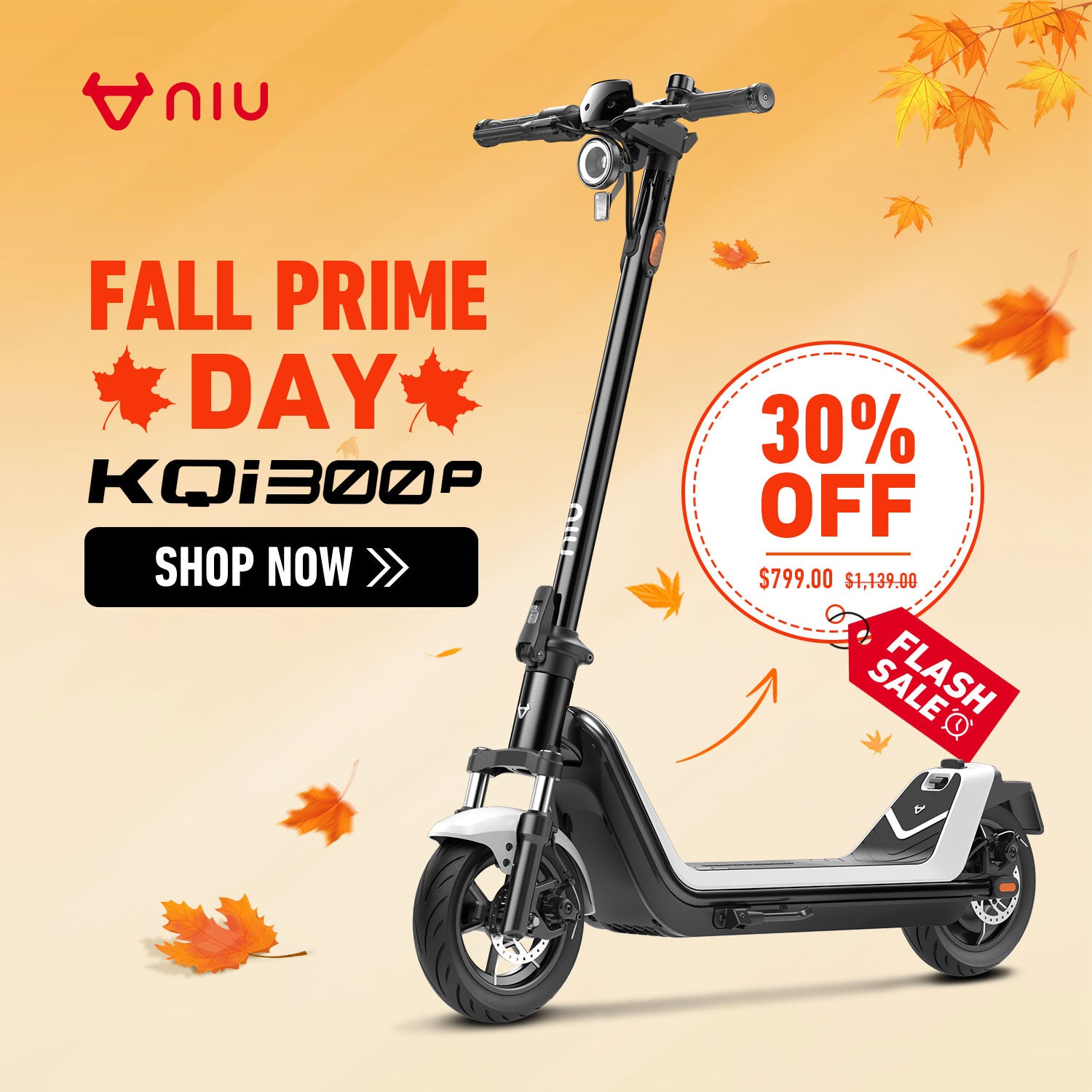NIU KQi 300P All-Terrain Suspension Electric Scooter 25km/h | Range 48km