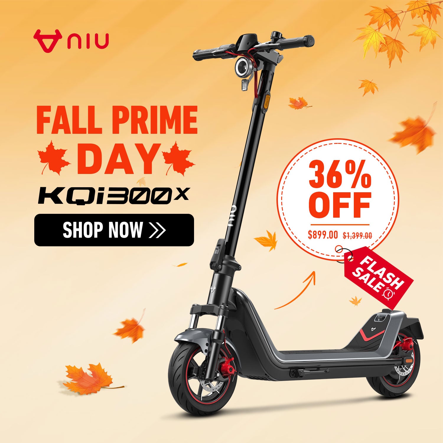 NIU KQi 300X All-Terrain Suspension Electric Scooter 25km/h | Range 60km