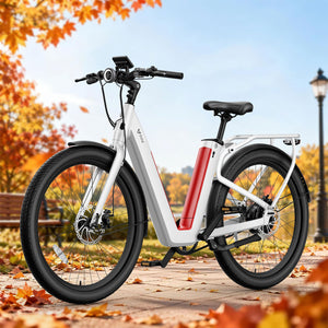 NIU BQi-C3 Pro Ebike Speed 25km/h | Range 150km