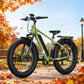 BQi Fat Tire 300 Off-Road Ebike (Step-over) Speed 25km/h | Range 83km