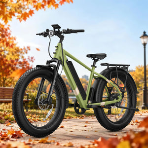 BQi Fat Tire 300 Off-Road Ebike (Step-over) Speed 25km/h | Range 83km