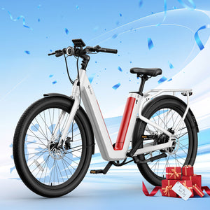 NIU BQi-C3 Pro Ebike Speed 25km/h | Range 150km