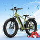 BQi Fat Tire 300 Off-Road Ebike (Step-over) Speed 25km/h | Range 83km