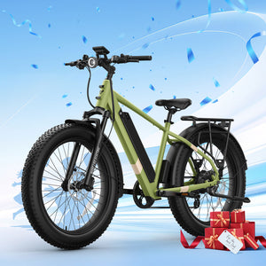 BQi Fat Tire 300 Off-Road Ebike (Step-over) Speed 25km/h | Range 83km
