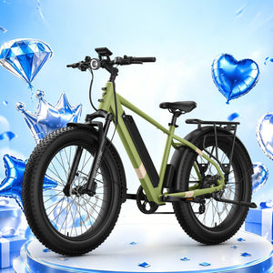 BQi Fat Tire 300 Off-Road Ebike (Step-over) Speed 25km/h | Range 83km