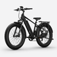 BQi Fat Tire 300 Off-Road Ebike (Step-over) Speed 25km/h | Range 83km