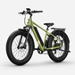 BQi Fat Tire 300 Off-Road Ebike (Step-over) Speed 25km/h | Range 83km