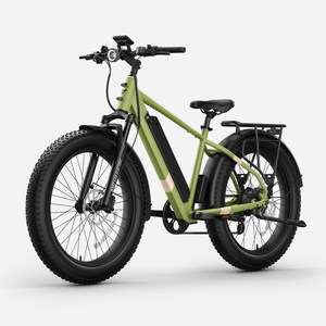 BQi Fat Tire 300 Off-Road Ebike (Step-over) Speed 25km/h | Range 83km