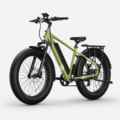 BQi Fat Tire 300 Off-Road Ebike (Step-over) Speed 25km/h | Range 83km