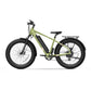 BQi Fat Tire 300 Off-Road Ebike (Step-over) Speed 25km/h | Range 83km