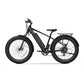 BQi Fat Tire 300 Off-Road Ebike (Step-over) Speed 25km/h | Range 83km