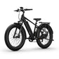 BQi Fat Tire 300 Off-Road Ebike (Step-over) Speed 25km/h | Range 83km