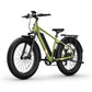 BQi Fat Tire 300 Off-Road Ebike (Step-over) Speed 25km/h | Range 83km