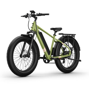BQi Fat Tire 300 Off-Road Ebike (Step-over) Speed 25km/h | Range 83km