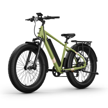 BQi Fat Tire 300 Off-Road Ebike (Step-over) Speed 25km/h | Range 83km