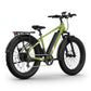 BQi Fat Tire 300 Off-Road Ebike (Step-over) Speed 25km/h | Range 83km