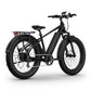 BQi Fat Tire 300 Off-Road Ebike (Step-over) Speed 25km/h | Range 83km
